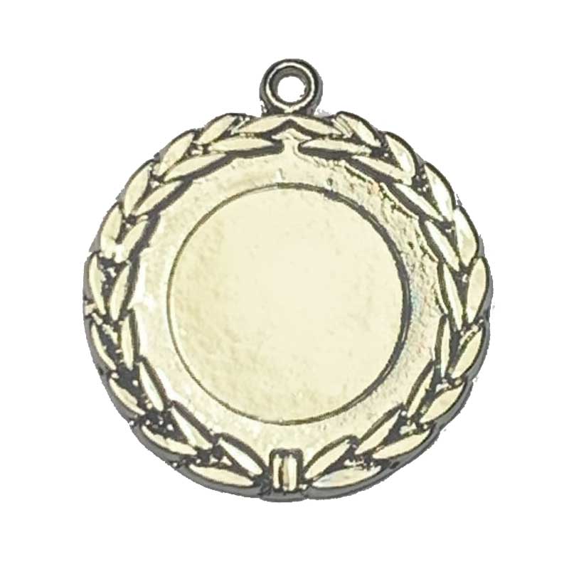 MS-Range-silver-medal